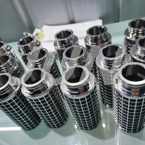 Stainless Steel Filter Element 30 Micron Clean Water Filter Strainer Mesh 