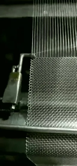 Stainless Steel SUS304/SUS316L Woven Wire Mesh for Filter Element 